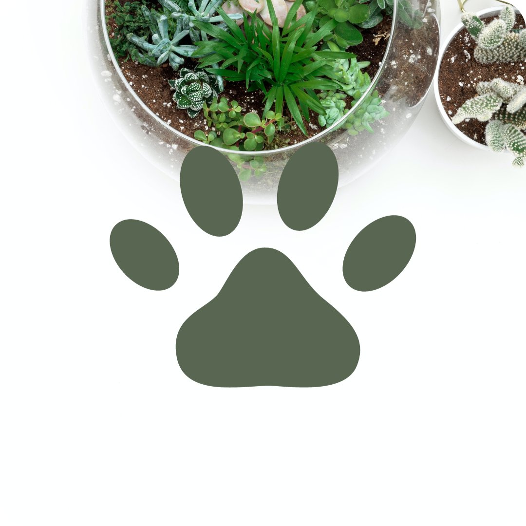 Pet Friendly - Halaman Habitat