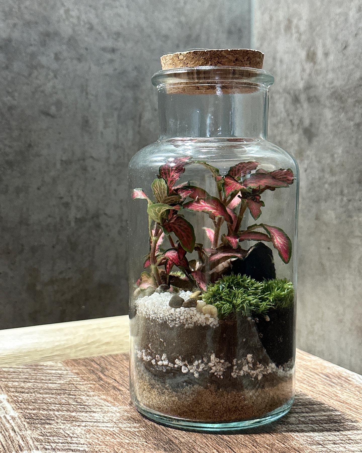 DIY sada terária - Anne
