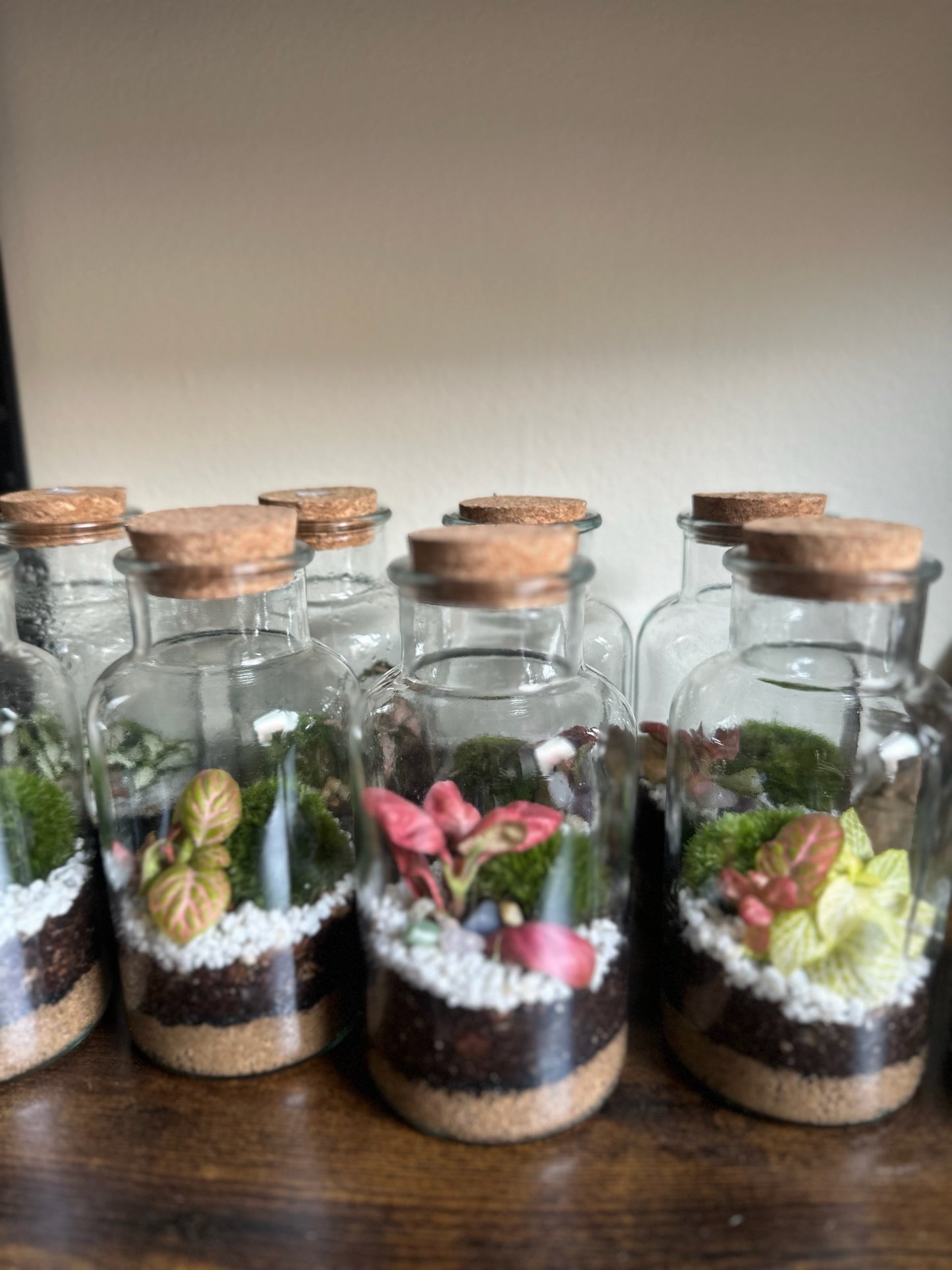 DIY sada terária - Anne
