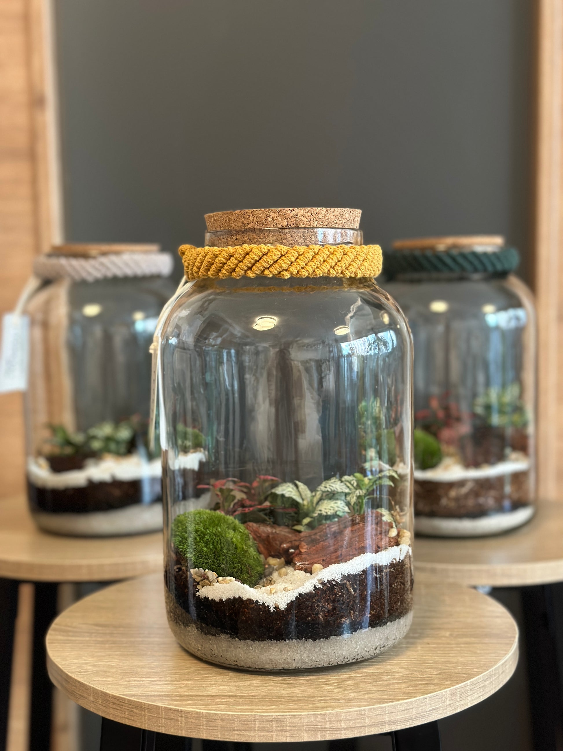 DIY sada terária - Nenita