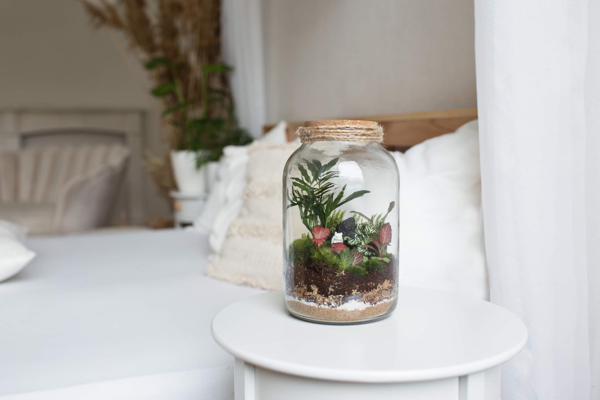 DIY sada terária - Nenita