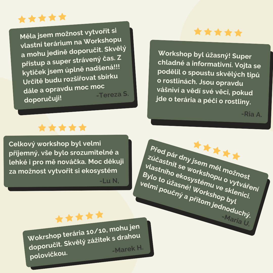 Terárium Workshop 🇨🇿
