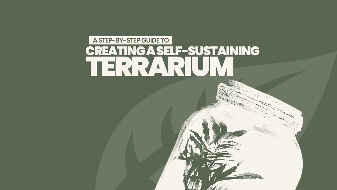 A Step-by-Step Guide to Creating a Self-Sustaining Terrarium