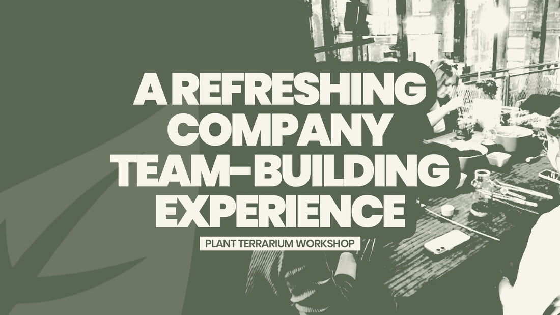A Refreshing Company Team-Building Experience: Plant Terrarium Workshop
