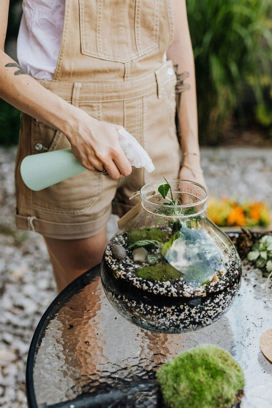 How Often Do You Water a Terrarium? - Halaman Habitat