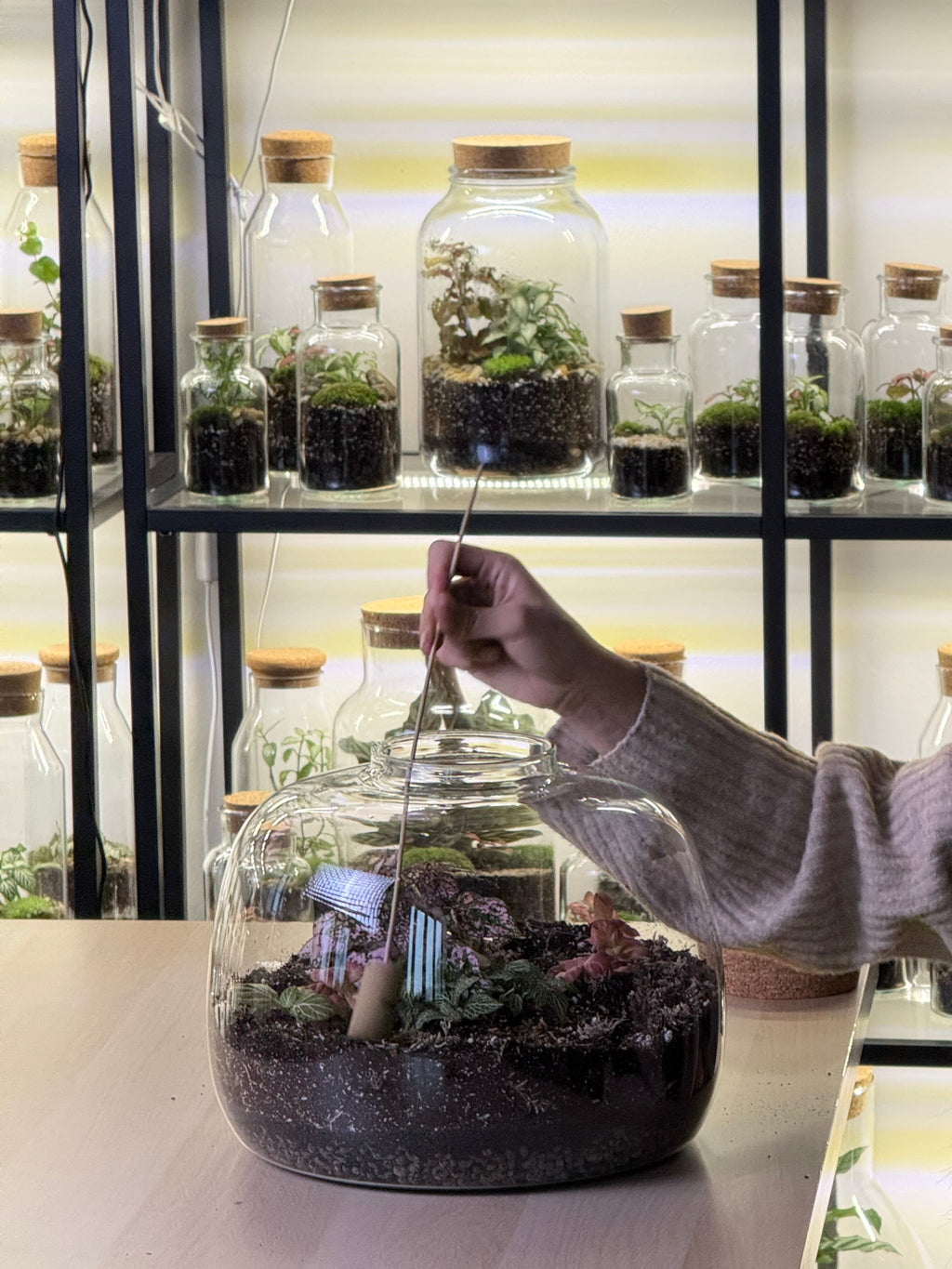 DIY Sada Udělej si sám - Dasha