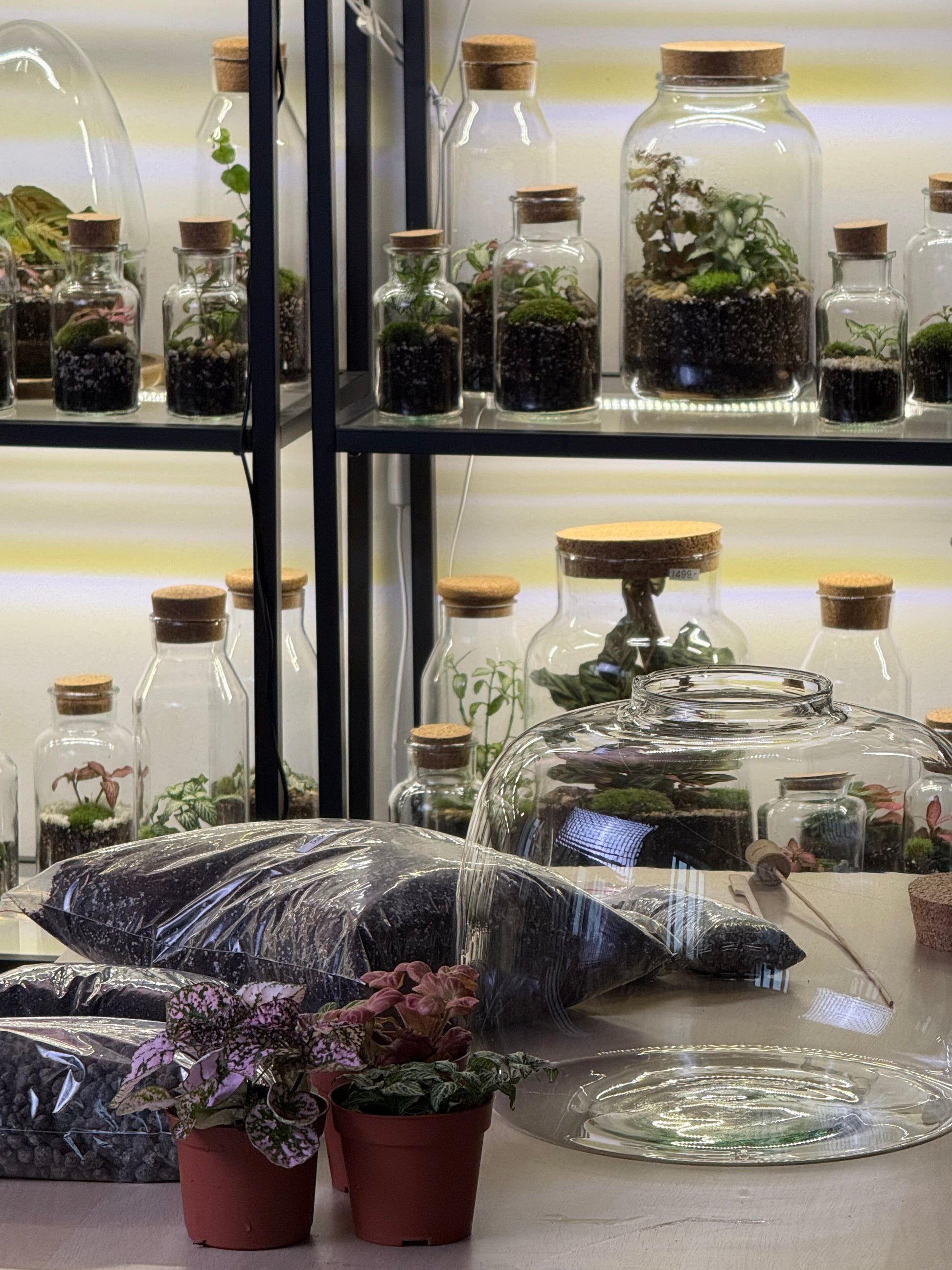 DIY Sada Udělej si sám - Dasha