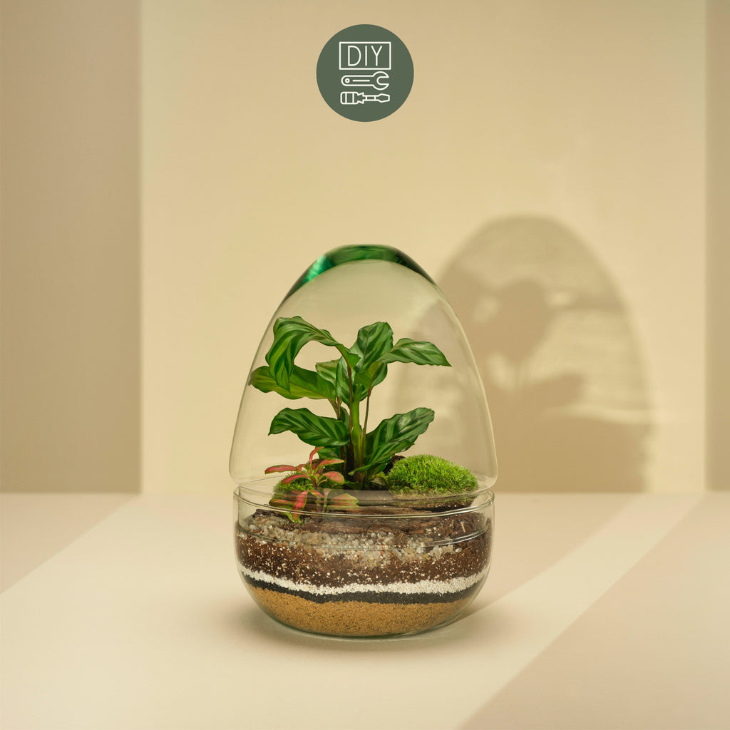 Vídeňská teráriová dílna
