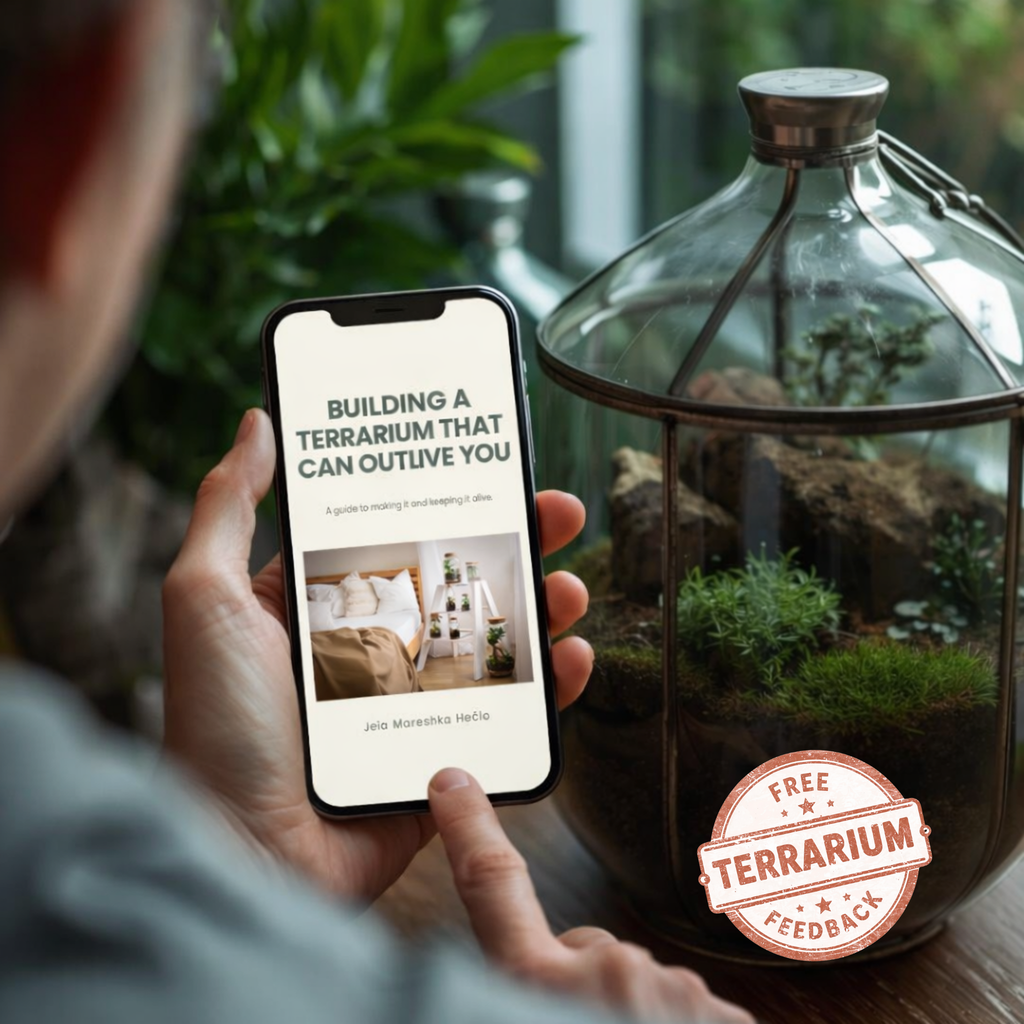 Building a Terrarium That Can Outlive You