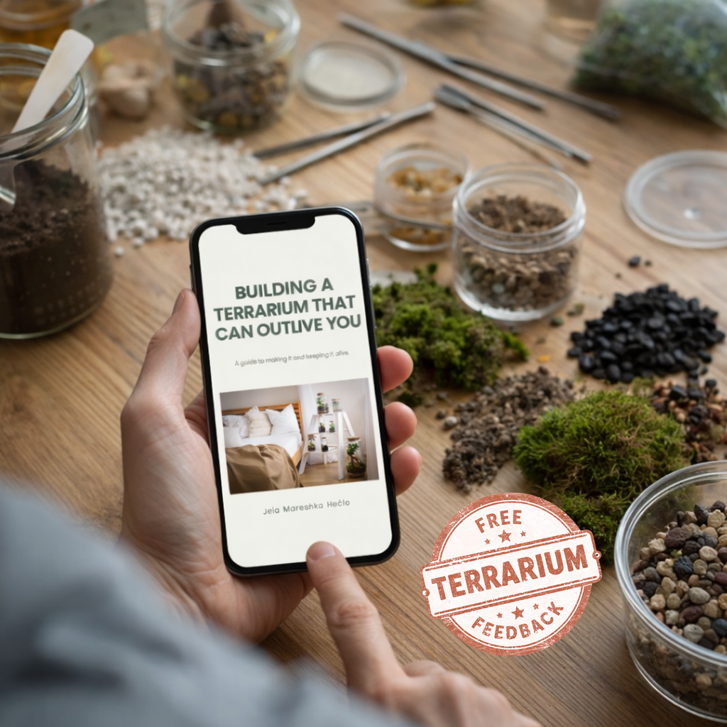 Building a Terrarium That Can Outlive You