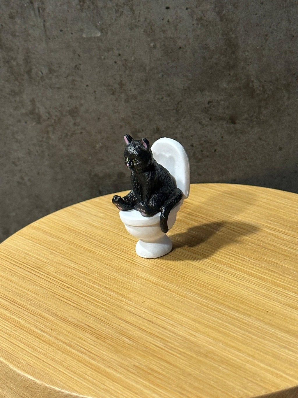 Cat on a Toilet - Halaman Habitat -