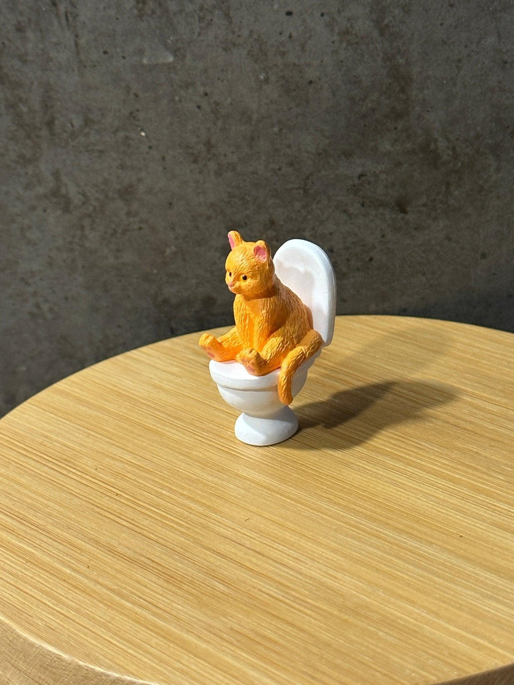 Cat on a Toilet - Halaman Habitat -
