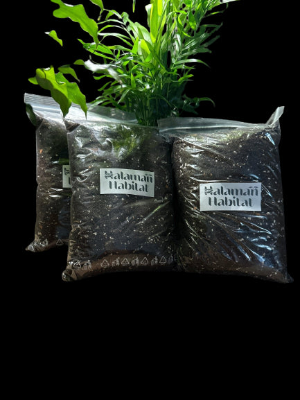 Halaman Plant Soil - Halaman Habitat -