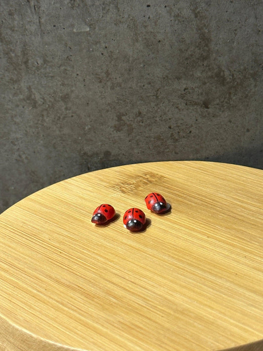 Ladybug 3pcs - Halaman Habitat -