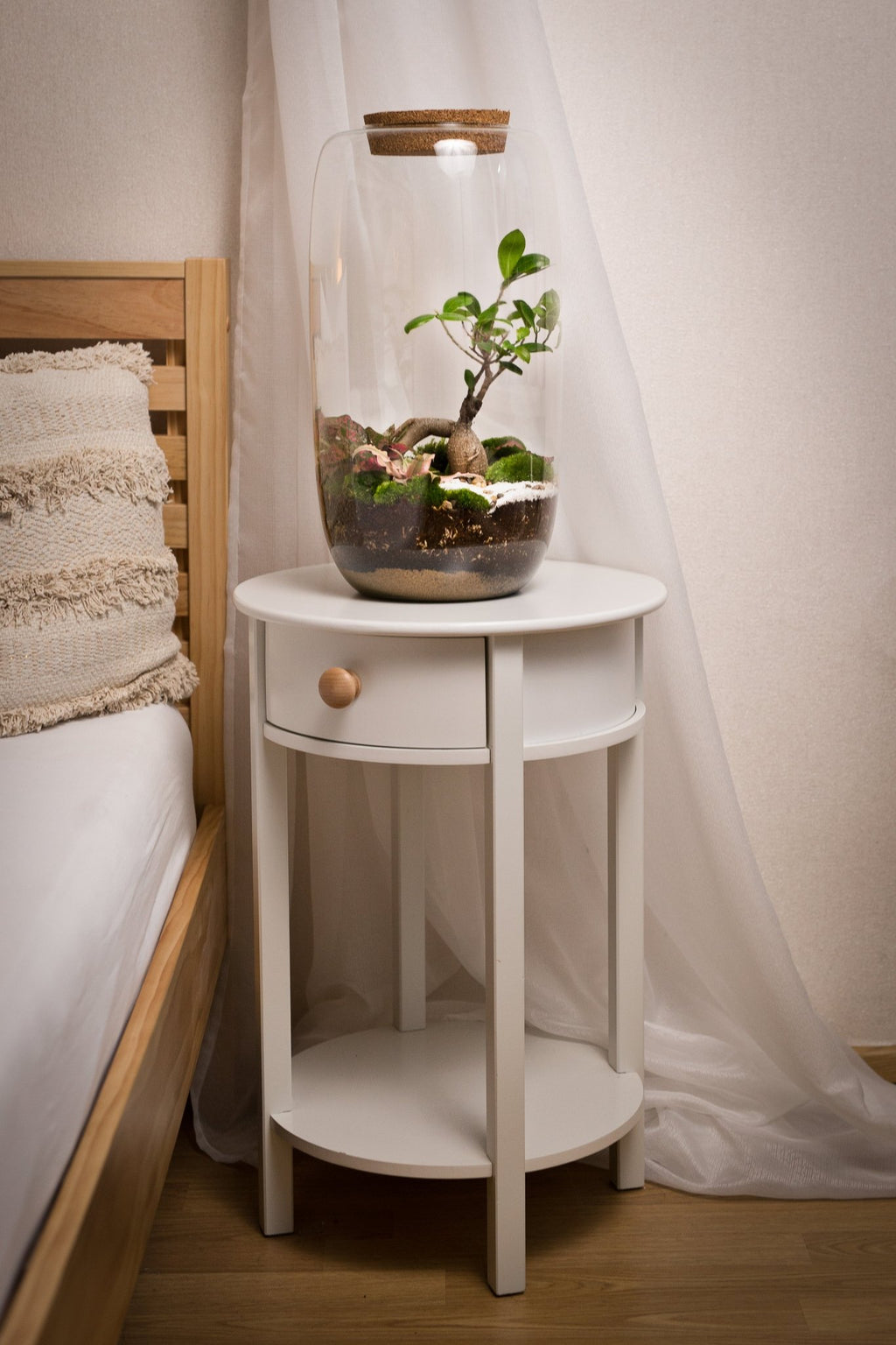 Terrarium Zuzana - Halaman Habitat - Terrarium