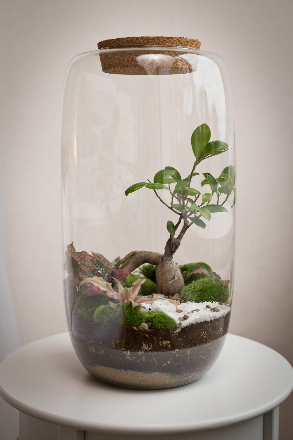 Terrarium Zuzana - Halaman Habitat - Terrarium